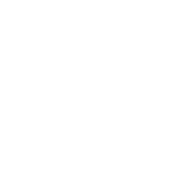 SUB 14 Y 16